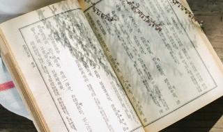 非法入境小说讲的什么 非法入境小说百度云