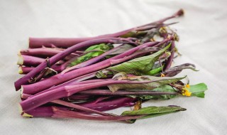 素炒红菜苔的做法 素炒红菜苔的做法步骤