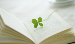 明镜所以照形往事所以知今是什么意思 明镜所以照形往事所以知今的意思