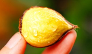 板栗怎么剥皮比较快 板栗怎么剥皮比较快又好吃