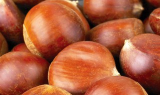 板栗怎么剥皮 怎么剥皮板栗怎么剥皮