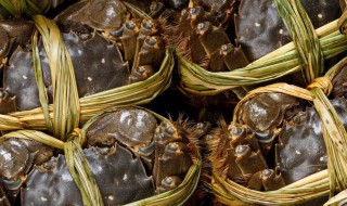 螃蟹怎么养不会死 螃蟹养在哪里不会死