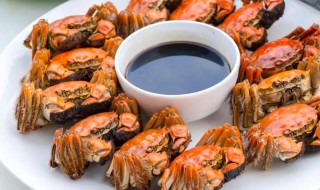 螃蟹醋汁怎么调 螃蟹醋汁怎么调才好吃