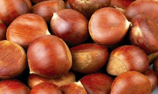 板栗怎么挑 板栗怎么挑选