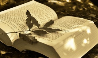 巾的组词（巾的组词和拼音）