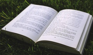 杨字组词（杨字组词三年级）