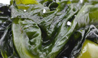 裙带菜怎么做汤（裙带菜怎么做汤好喝）