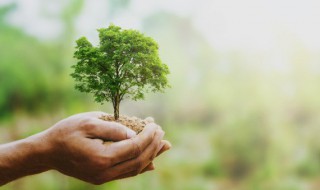 低碳环保手抄报文字内容（低碳环保手抄报文字内容简短）