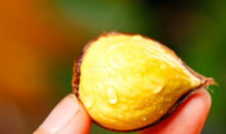 炒栗子怎么炒 家里炒栗子怎么炒