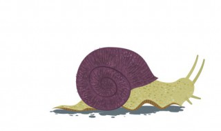 蜗牛怎么养才能生宝宝（蜗牛生宝宝了怎么养）