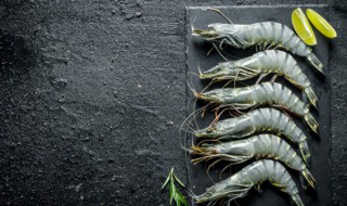 储存虾方法 储存鲜虾的方法