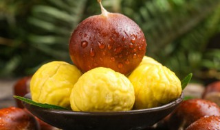 鲜板栗储存方法（新鲜板栗储存法）