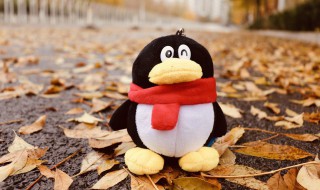 怎么发qq邮件到别人邮箱（电脑怎么发qq邮件到别人邮箱）