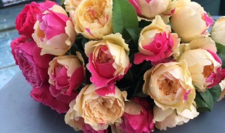 不同颜色数量的玫瑰花代表的含义 不同颜色数量的玫瑰花代表的含义一样吗