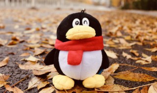 qq怎么删除好友 qq怎么删除好友批量