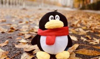 qq封号怎么快速解除（手机QQ封号怎么快速解开?）