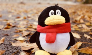 怎么把文件发到别人的qq邮箱 手机怎么把文件发到别人的qq邮箱