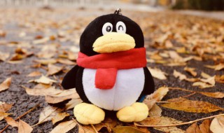 qq怎么推荐好友给别人（怎么推荐QQ好友给别人）