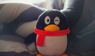 qq怎么找回删除的好友（qq怎么找回删除的好友 用手机）