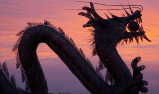 2022年生肖运势运势大全（2022年生肖运势运势大全男）