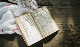 败柳残花的意思（败柳残花的意思解释）