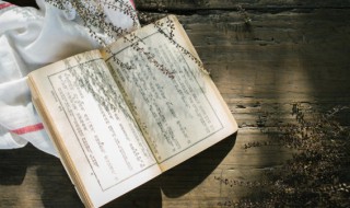 一声不吭是成语吗（一声不吭成语的意思）