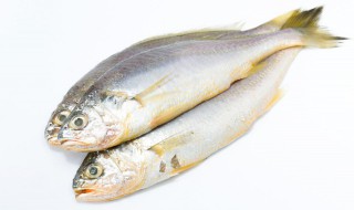 比目鱼怎么吃（比目鱼怎么吃最好吃）