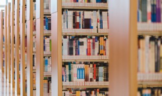 观点用英语怎么说 在我的观点用英语怎么说