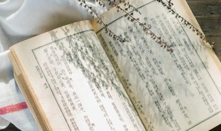 一双用英语怎么说 它们18元一双用英语怎么说