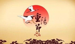 重阳节登高就是爬山吗（重阳节登高就是爬山吗蚂蚁庄园）