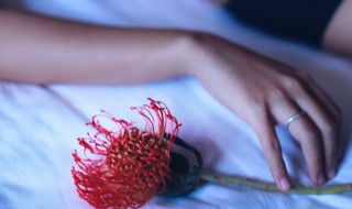 梦女是什么 梦女是什么意思二次元