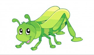 写一种昆虫的外形特点（写一种昆虫的外形特点不要太长）