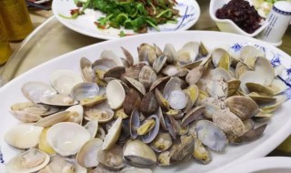 油蛤是海水还是淡水 油蛤是海水还是淡水的