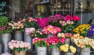 适合阳台上种植的花卉（适合阳台上种植的花卉盆景）