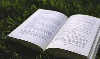 5个字古风诗意情侣名 唯美古风好听诗意昵称五个字情侣名