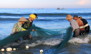 女人梦见看见别人抓鱼（女人梦见看见别人抓鱼什么意思）