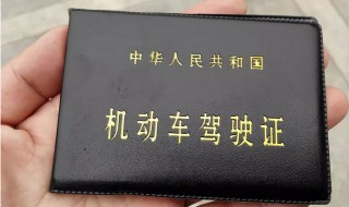 忘带驾驶证开车怎么处罚 忘带驾驶证开车怎么处罚2022