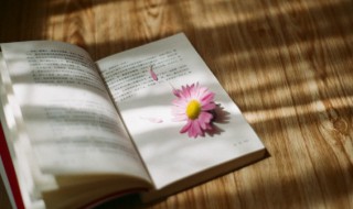 喑呜叱咤的意思（喑呜叱咤的意思怎么读）