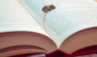 唯美很仙的网名（唯美很仙的网名英文）