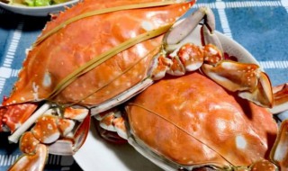 螃蟹的正确品尝方式 螃蟹的正确方法