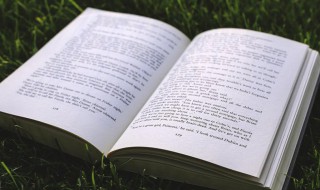 仙风道骨的网名大全（风仙道骨的名字）