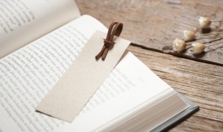 凡事预则立不预则废的意思是什么（凡事预则立不预则废的意思是什么意思）