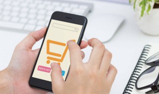 苹果手机连上wifi却上不了网怎么办（苹果手机连上wifi却上不了网怎么办 别的手机可以）