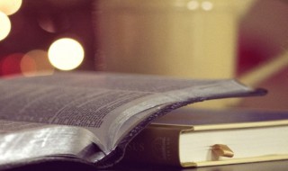 绳的组词（绳的组词拼音）