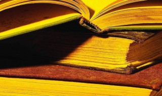 裙的组词 群的组词