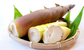 竹笋储存方法 竹笋储存方法视频