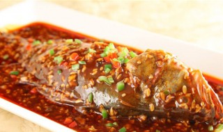桂鱼怎么做好吃又简单（红烧桂鱼怎么做好吃又简单）