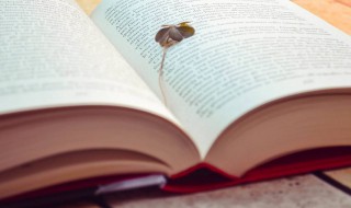 票据背书转让什么意思 票据背书转让时