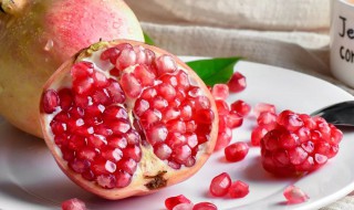 石榴英语怎么读 石榴英语怎么读语音