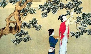 士也罔极二三其德什么意思 士也罔极二三其德